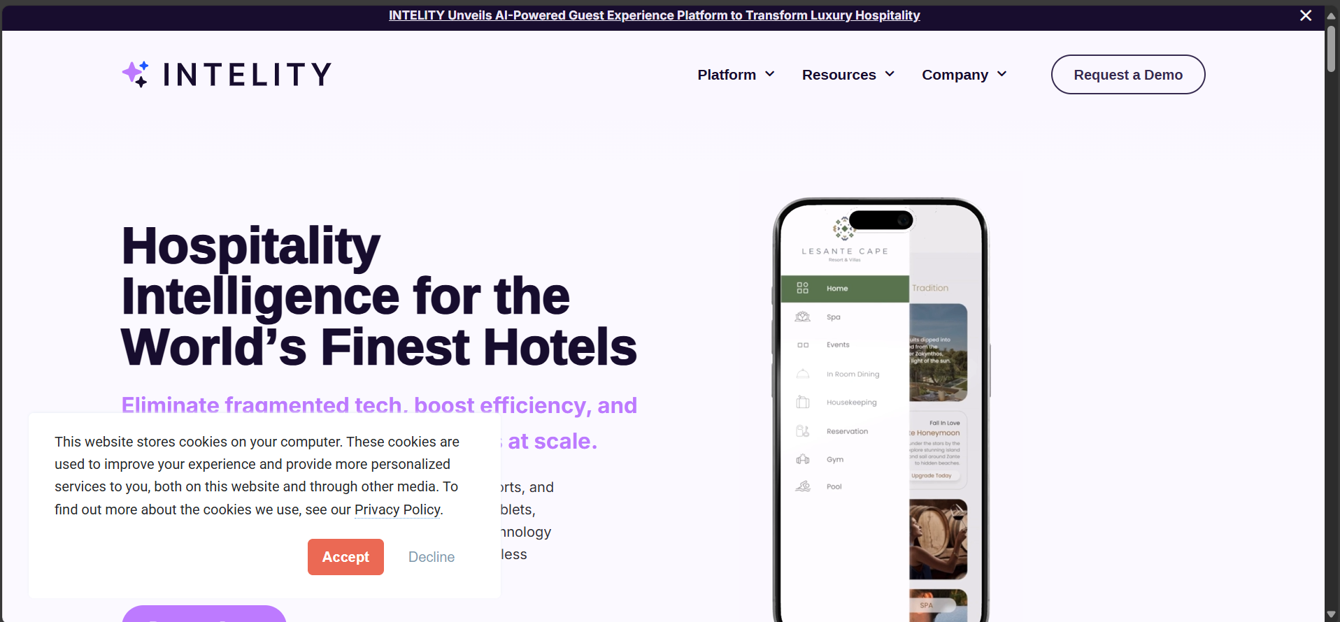 Intelity Website Screenshot